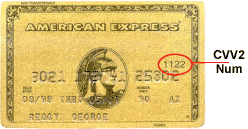 amex.gif (20206 bytes)